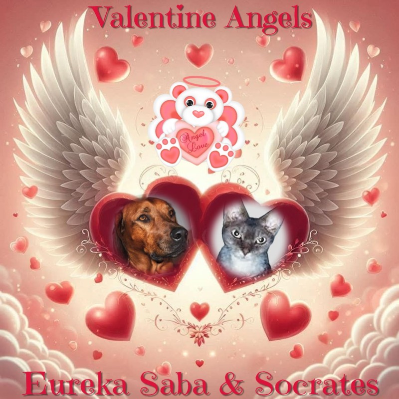 Blanche uploaded   81  day/s  ago