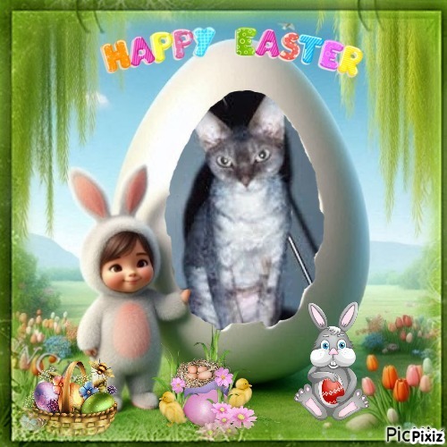 Blanche uploaded   7  day/s  ago