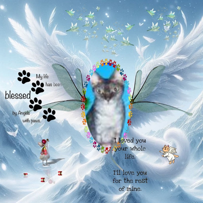 My Angels of the Blanche family