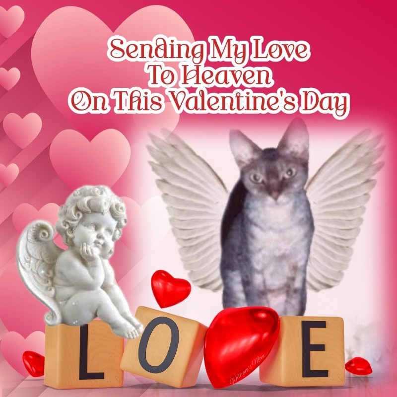 Blanche uploaded   84  day/s  ago