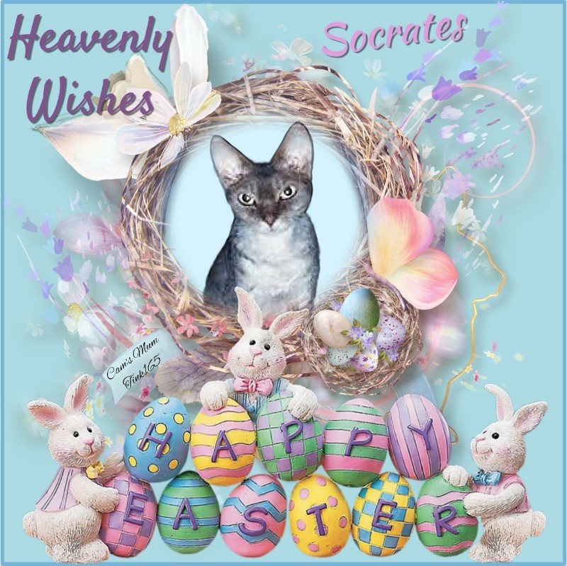 Blanche uploaded   7  day/s  ago