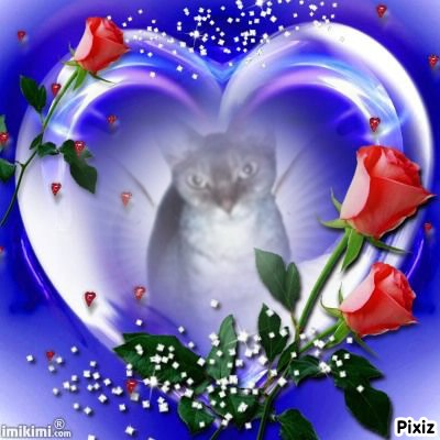 Blanche uploaded   27  day/s  ago