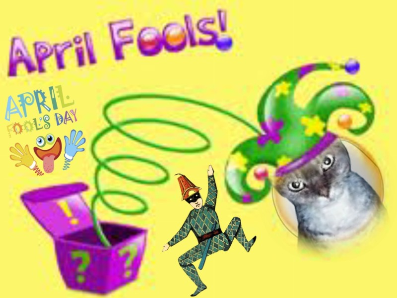 Blanche uploaded   11  day/s  ago