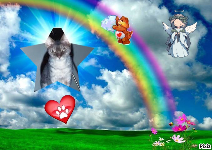 My Angels of the Blanche family