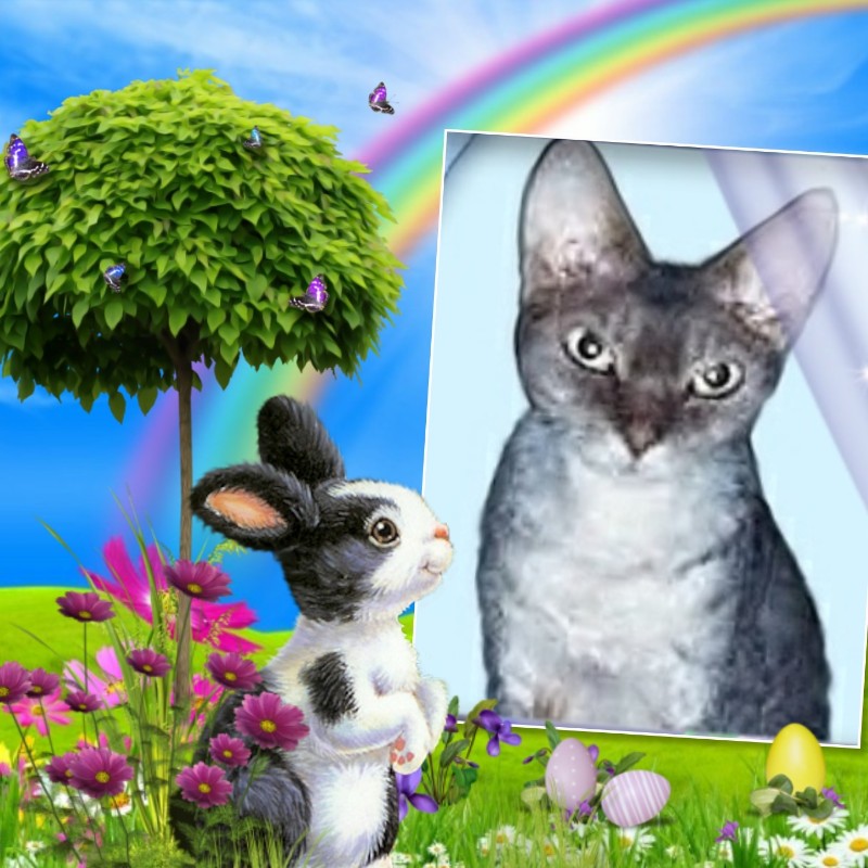 Blanche uploaded   7  day/s  ago