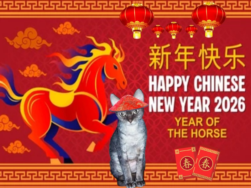 Blanche uploaded   96  day/s  ago