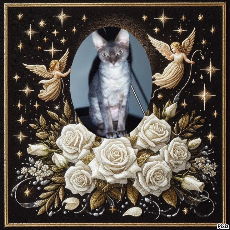 My Angels of the Blanche family