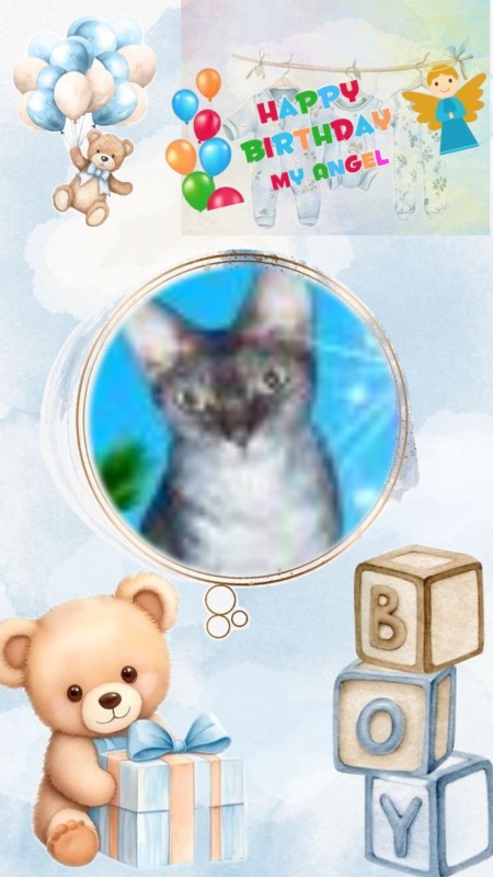 My Angels of the Blanche family