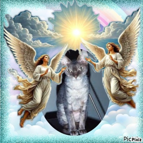 My Angels of the Blanche family