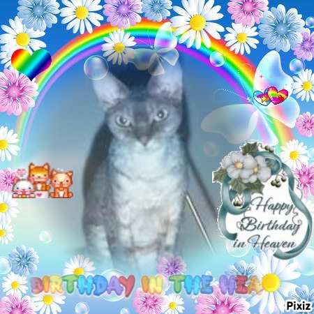 My Angels of the Blanche family