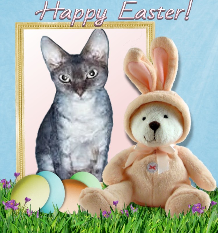 Blanche uploaded   23  day/s  ago