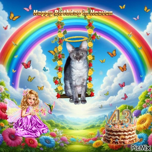 My Angels of the Blanche family