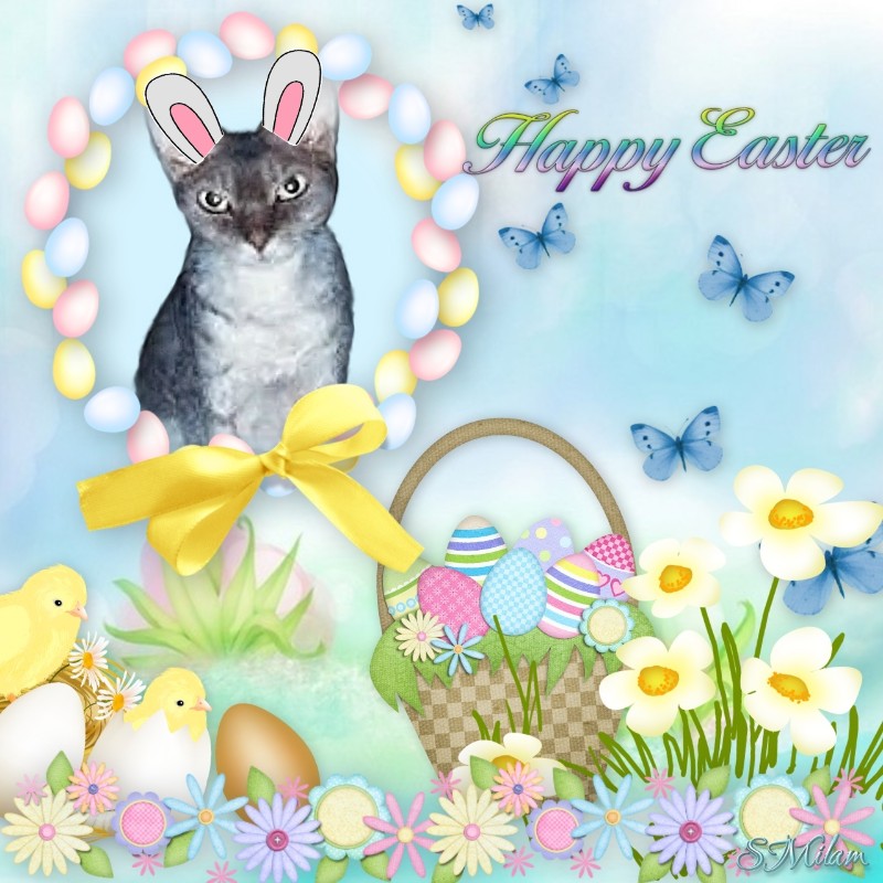 Blanche uploaded   15  day/s  ago