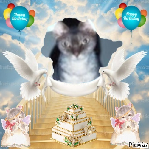 My Angels of the Blanche family