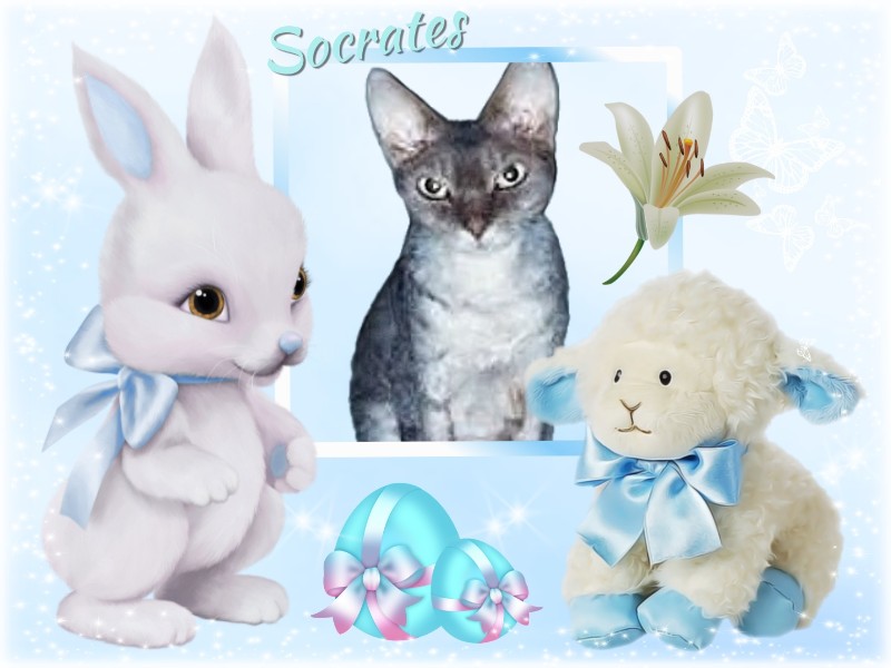 Blanche uploaded   7  day/s  ago