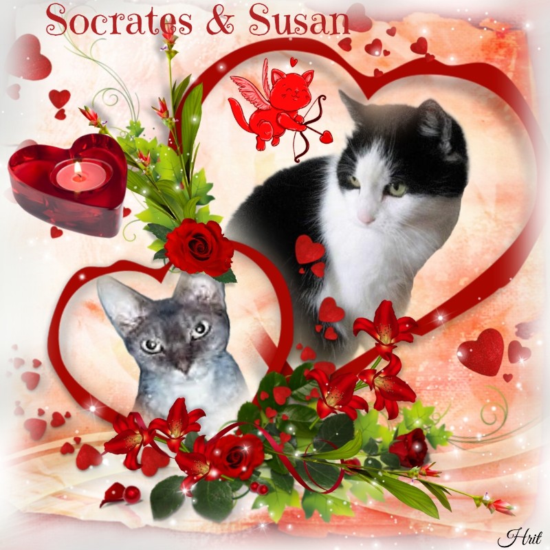 Blanche uploaded   84  day/s  ago