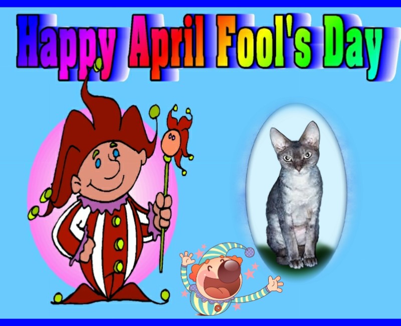 Blanche uploaded   20  day/s  ago