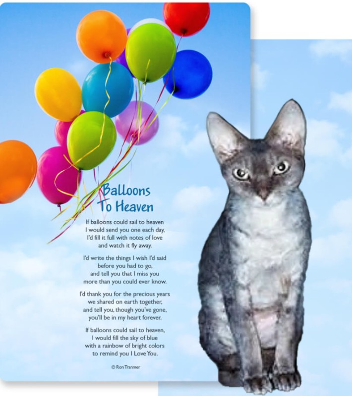 My Angels of the Blanche family