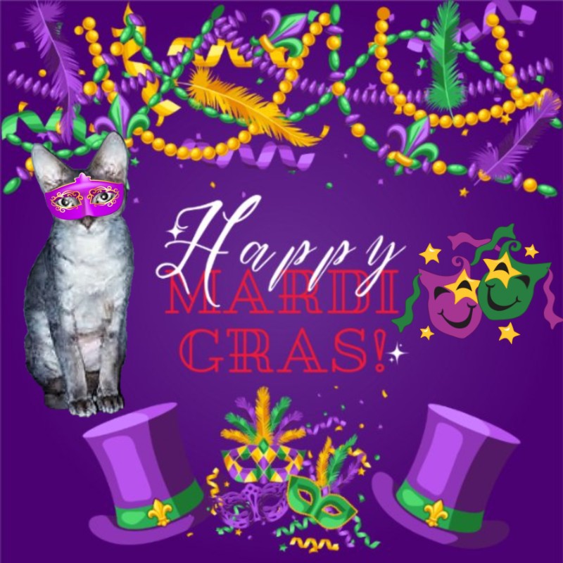 Blanche uploaded   90  day/s  ago