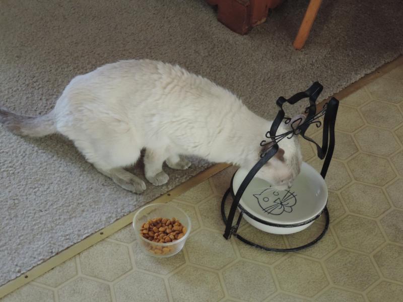 Blanche uploaded   151  day/s  ago