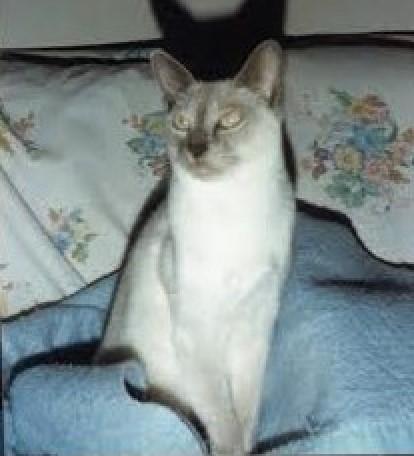 Blanche uploaded   151  day/s  ago