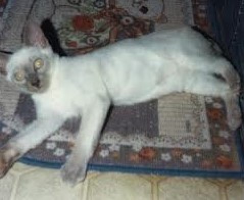 Blanche uploaded   151  day/s  ago