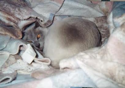 Blanche uploaded   151  day/s  ago