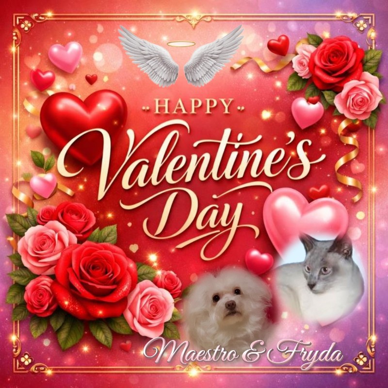 Blanche uploaded   80  day/s  ago