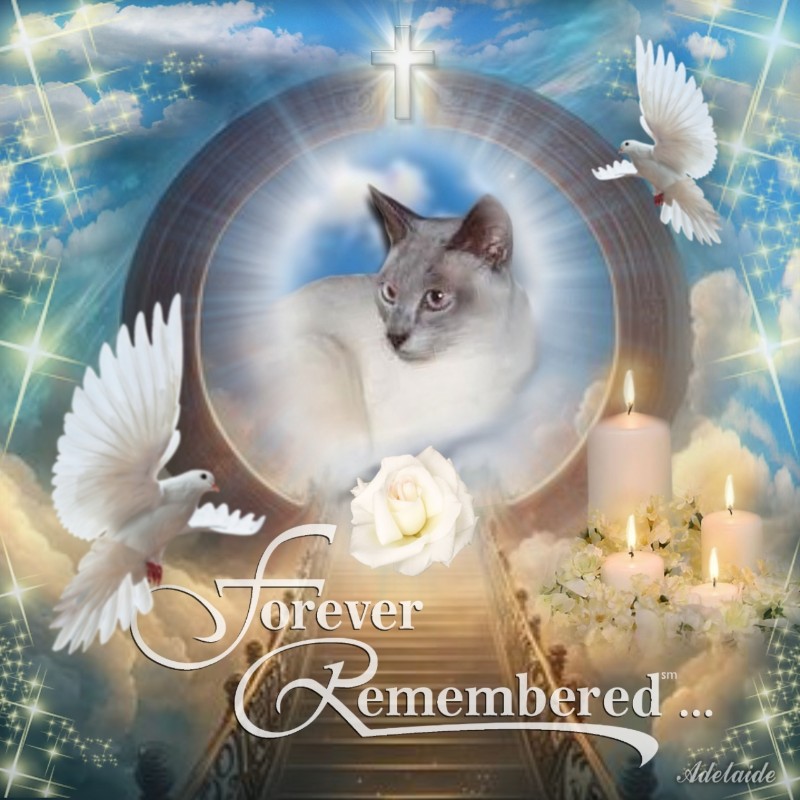 Blanche uploaded   8  day/s  ago