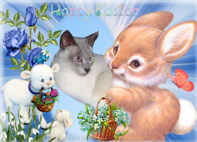 Blanche uploaded   7  day/s  ago