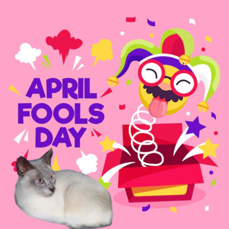 Blanche uploaded   15  day/s  ago