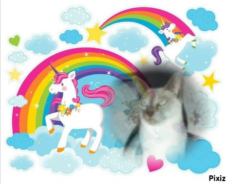 Blanche uploaded   7  day/s  ago