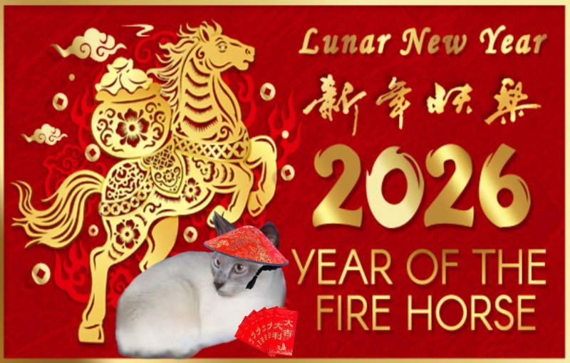 Blanche uploaded   96  day/s  ago