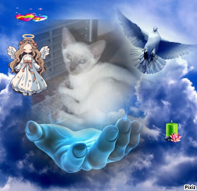 Blanche uploaded   7  day/s  ago