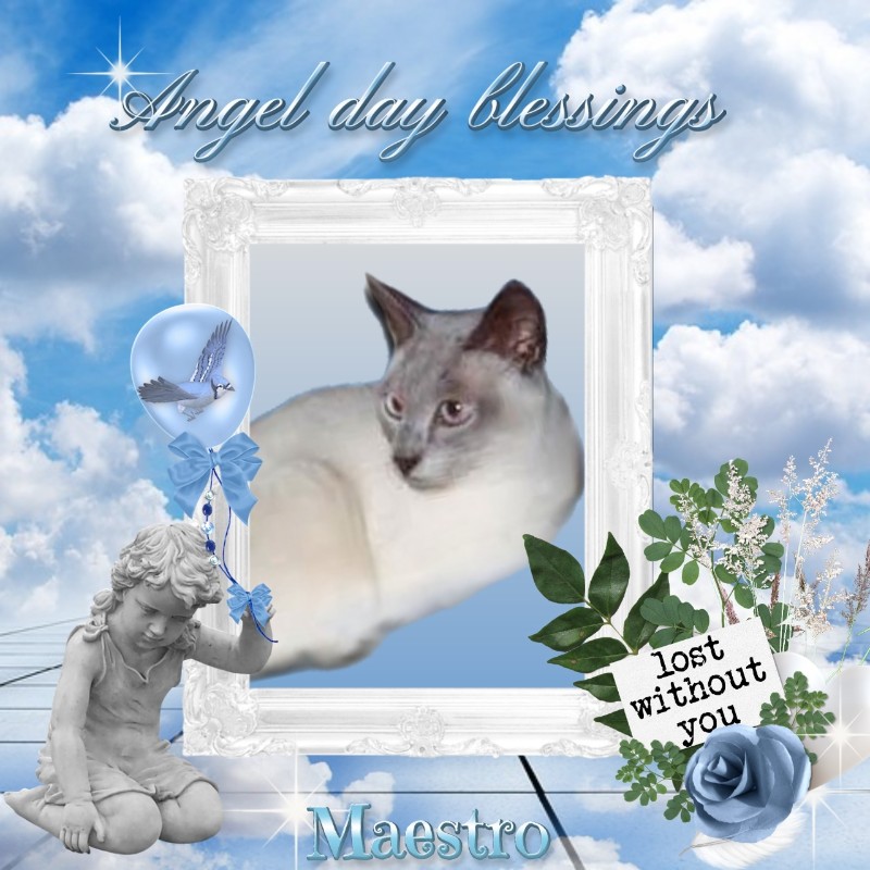 Blanche uploaded   8  day/s  ago