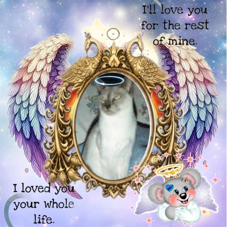 Blanche uploaded   7  day/s  ago