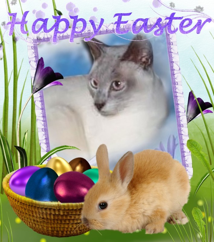 Blanche uploaded   13  day/s  ago