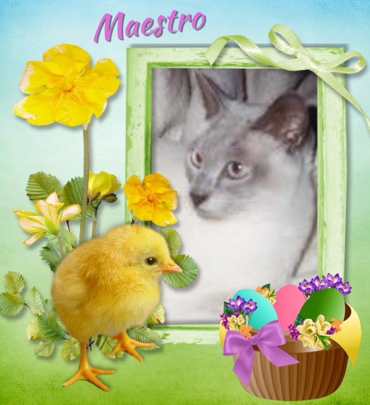 Blanche uploaded   7  day/s  ago