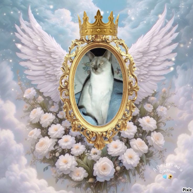 Blanche uploaded   8  day/s  ago