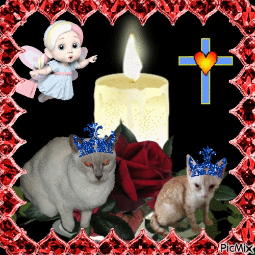 Blanche uploaded   8  day/s  ago