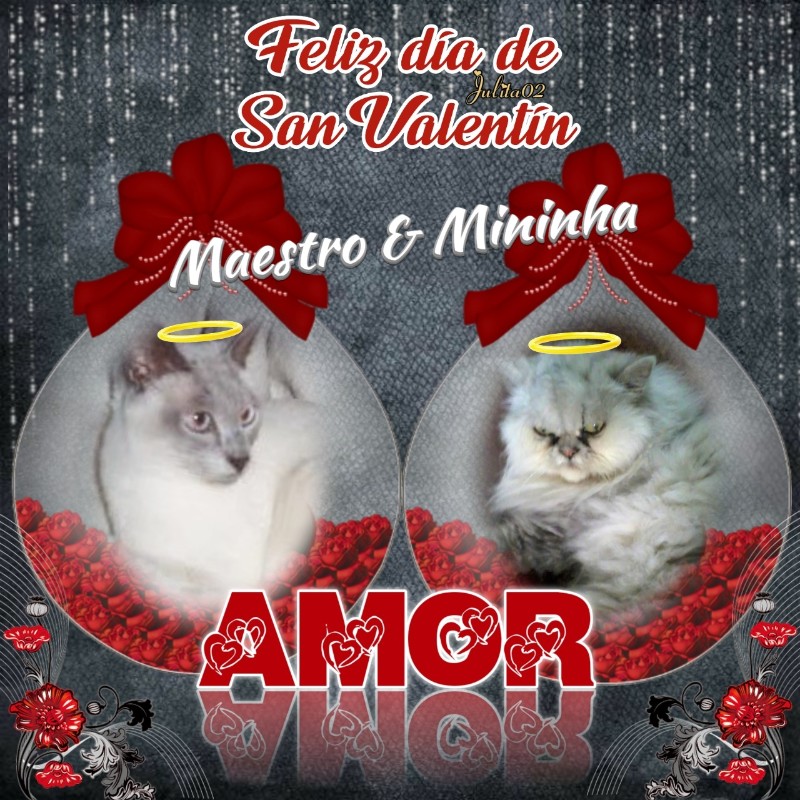 Blanche uploaded   86  day/s  ago