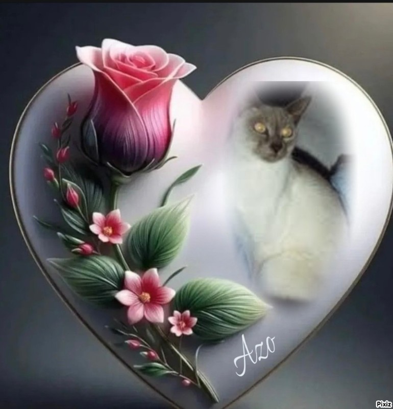 Blanche uploaded   7  day/s  ago