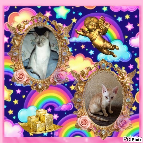 Blanche uploaded   8  day/s  ago