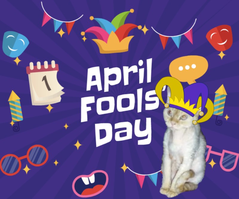 Blanche uploaded   18  day/s  ago