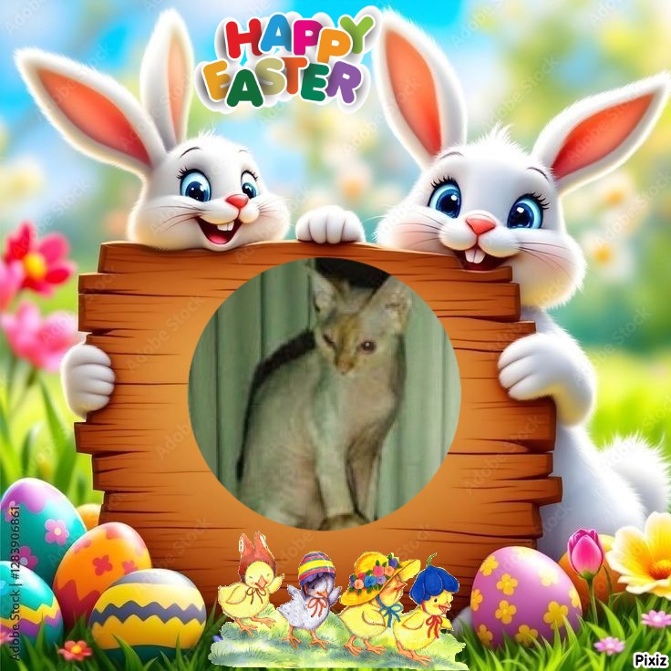 Blanche uploaded   7  day/s  ago