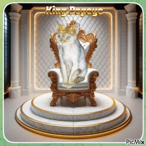 Blanche uploaded   1  day/s  ago