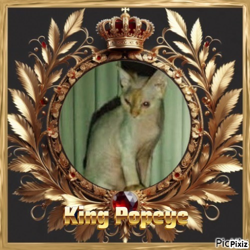 Blanche uploaded   1  day/s  ago