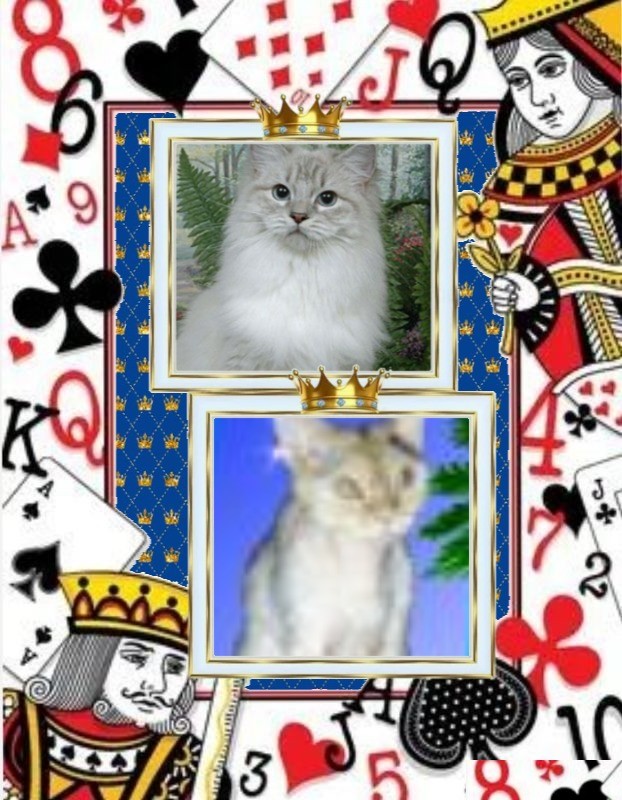 My Angels of the Blanche family