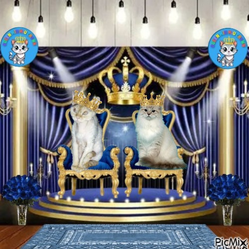 Blanche uploaded   1  day/s  ago