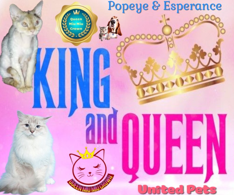 My Angels of the Blanche family